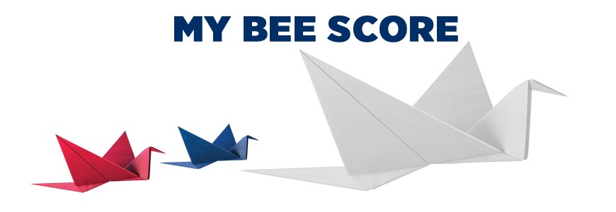 Calculate My BEE Score